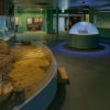 New Yashima Aquarium