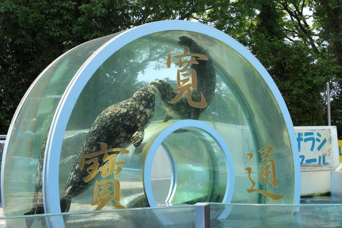 New Yashima Aquarium