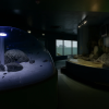New Yashima Aquarium