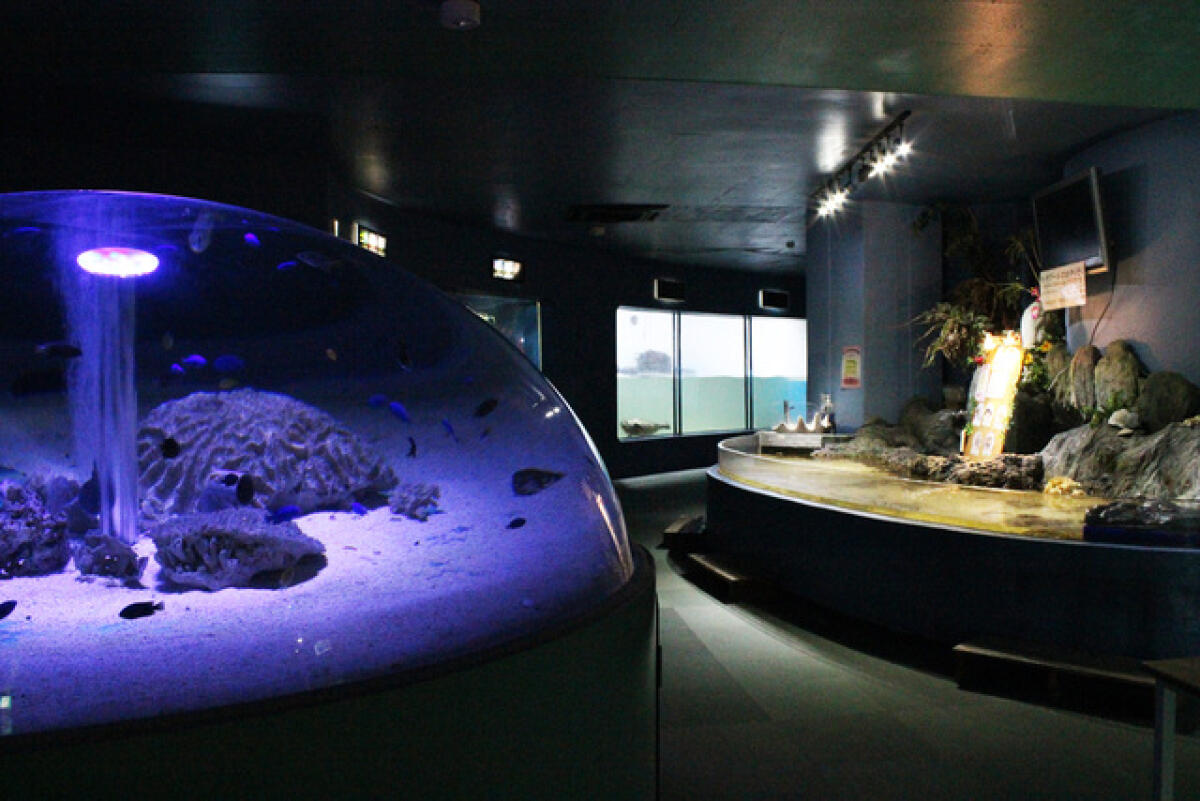 New Yashima Aquarium