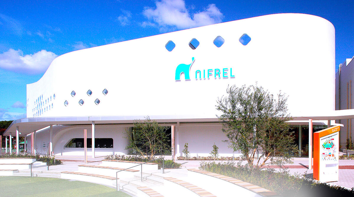 Nifrel