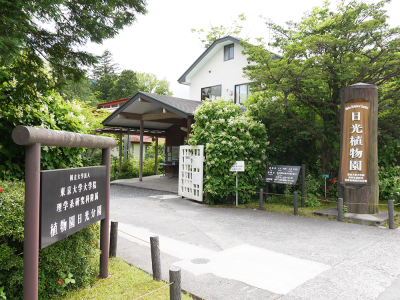 Nikko Botanical Garden