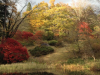 Nikko Botanical Garden