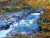 Nikko Botanical Garden