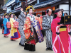 Nikko Edo Wonderland