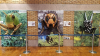 Nikko Natural Science Museum