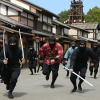 Ninja Kingdom Ise