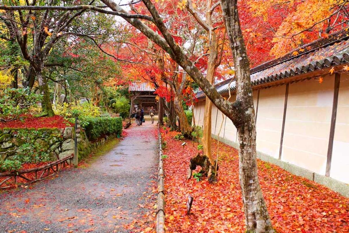 Nisonin Temple