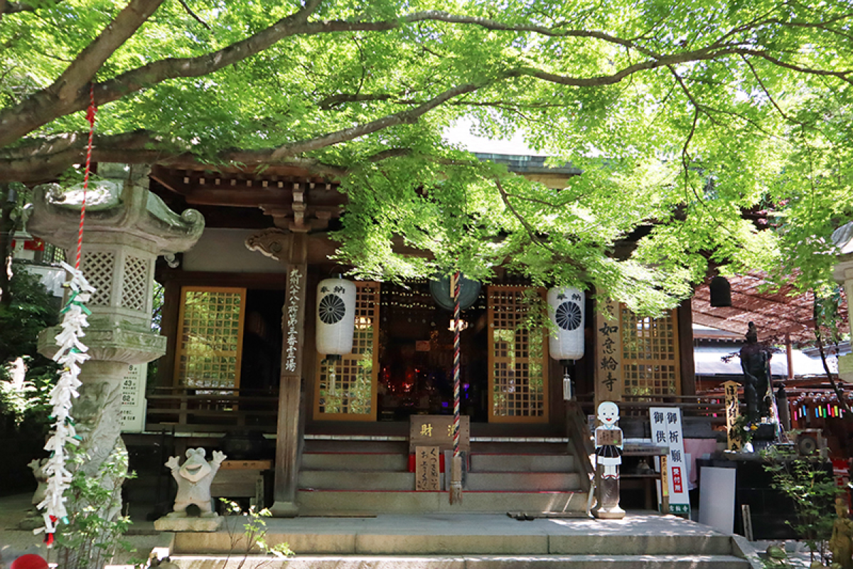 Nyoirinji Temple