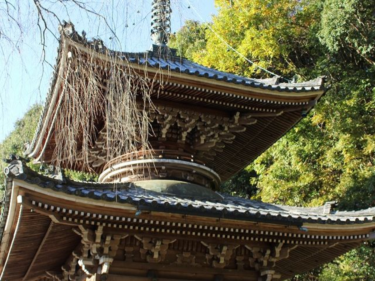 Nyoirinji Temple