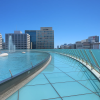 Oasis 21