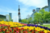 Odori District