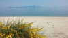 Omi-Maiko Beach