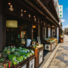 Omotesando shopping street