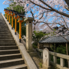 Onomichi Temple Walk