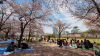 Osaka Castle Park
