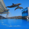 Port of Nagoya Public Aquarium