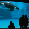 Port of Nagoya Public Aquarium