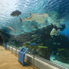 Port of Nagoya Public Aquarium