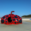 Red Pumpkin