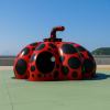 Red Pumpkin