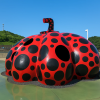 Red Pumpkin