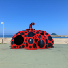 Red Pumpkin