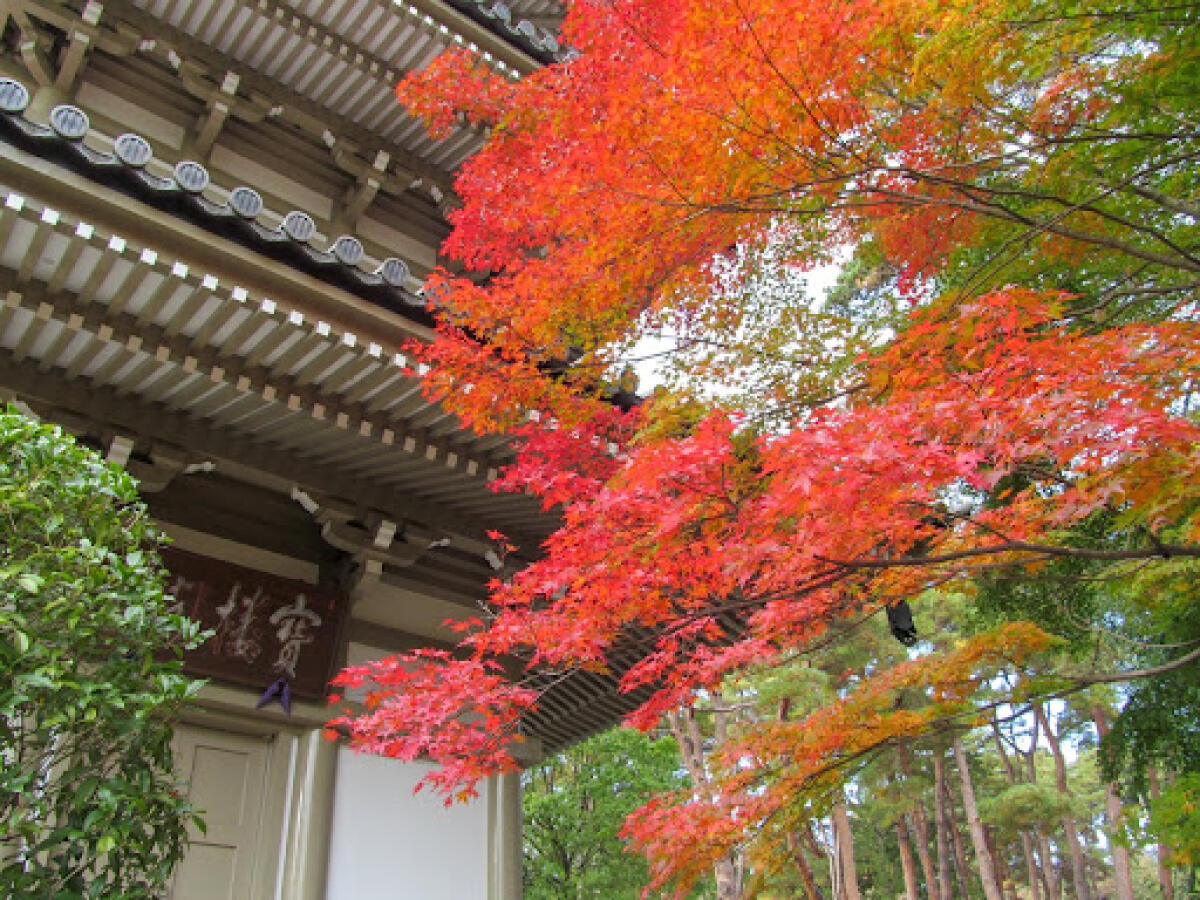 Rinnoji Temple