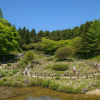 Rokko Alpine Botanical Garden