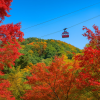 Rokko Arima Ropeway