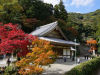 Ryuanji Temple