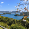 Ryukanzan Observation Point