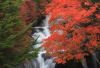 Ryuzu Waterfall (Ryuzu no taki)
