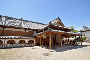 Saga Castle