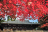 Saimyoji Temple