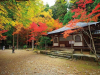 Saimyoji Temple