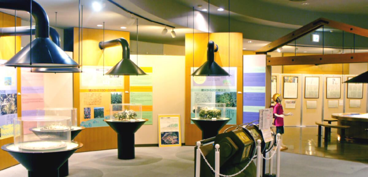 Sakurajima Visitor Center
