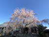 Sakuramotobo Temple