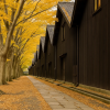Sankyo Warehouses