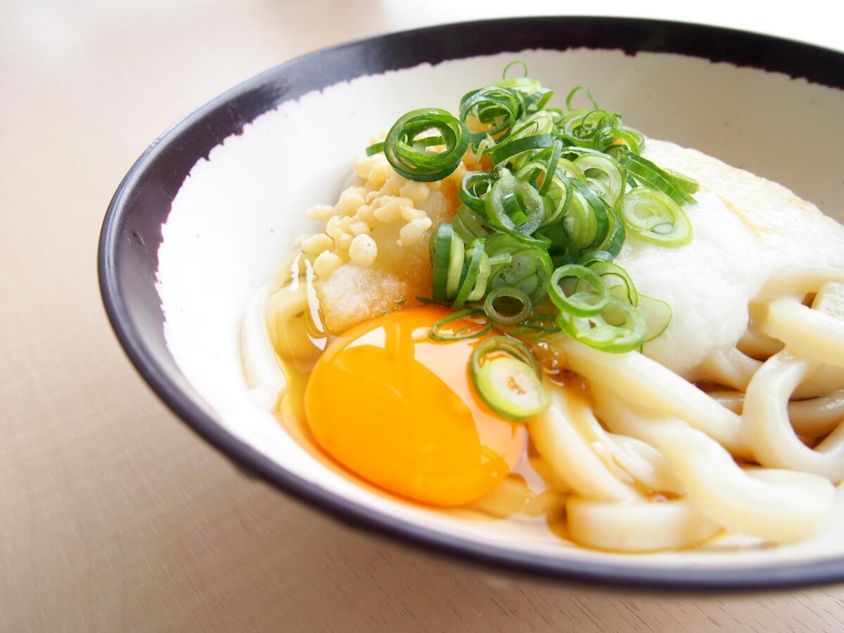 Sanuki Udon