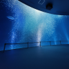 Sea Life Nagoya Aquarium