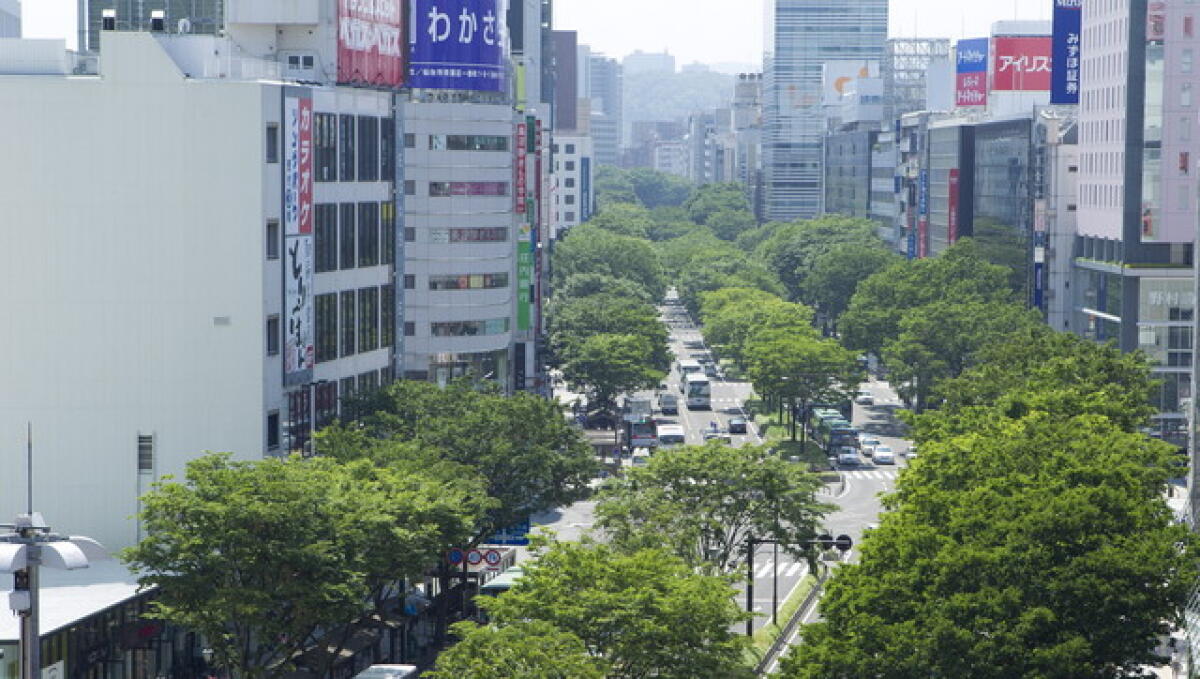 Sendai Downtown