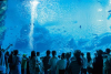 Sendai Uminomori Aquarium