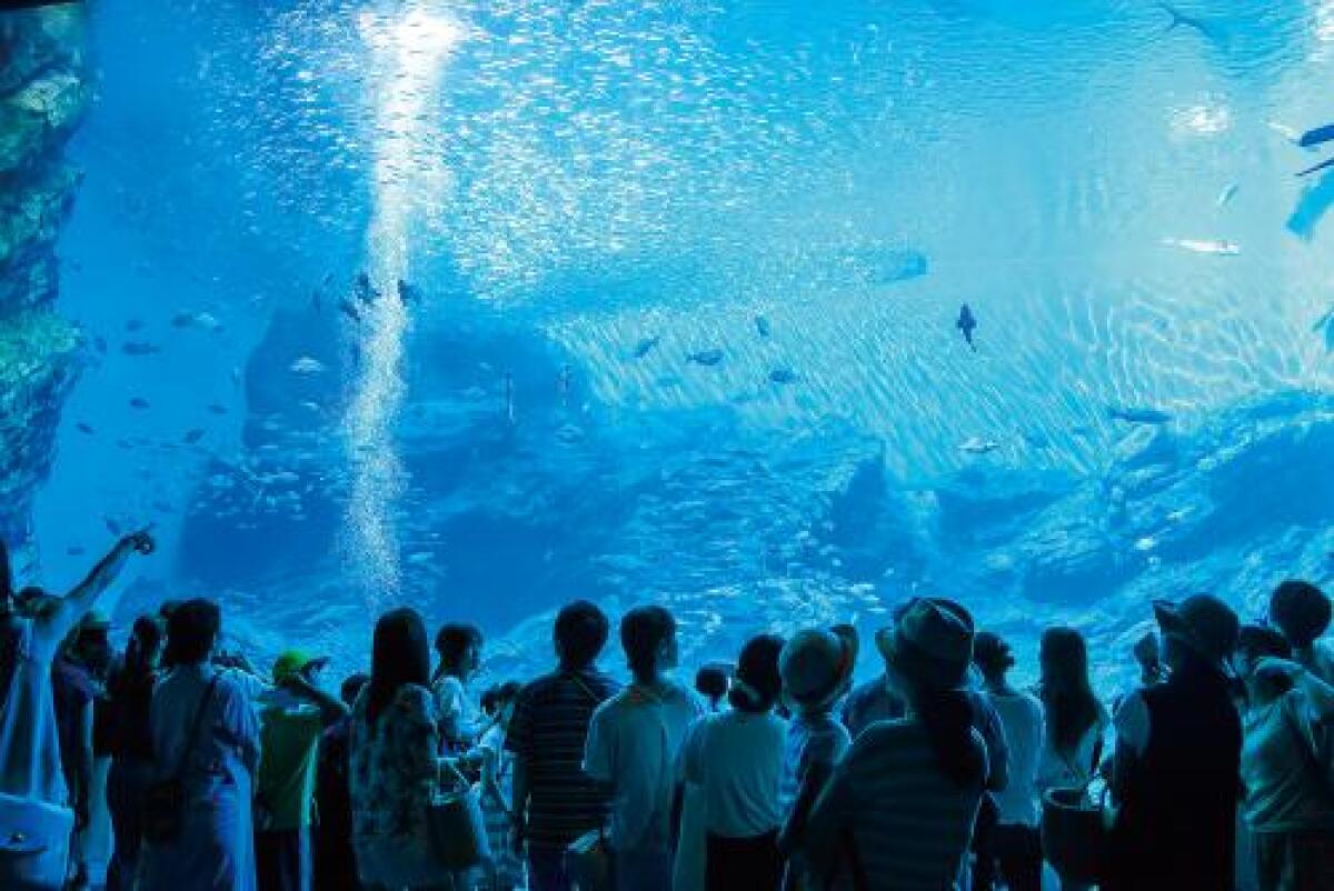 Sendai Uminomori Aquarium
