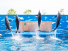 Sendai Uminomori Aquarium