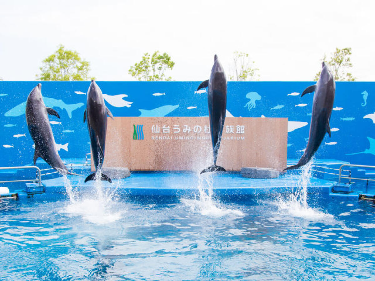 Sendai Uminomori Aquarium