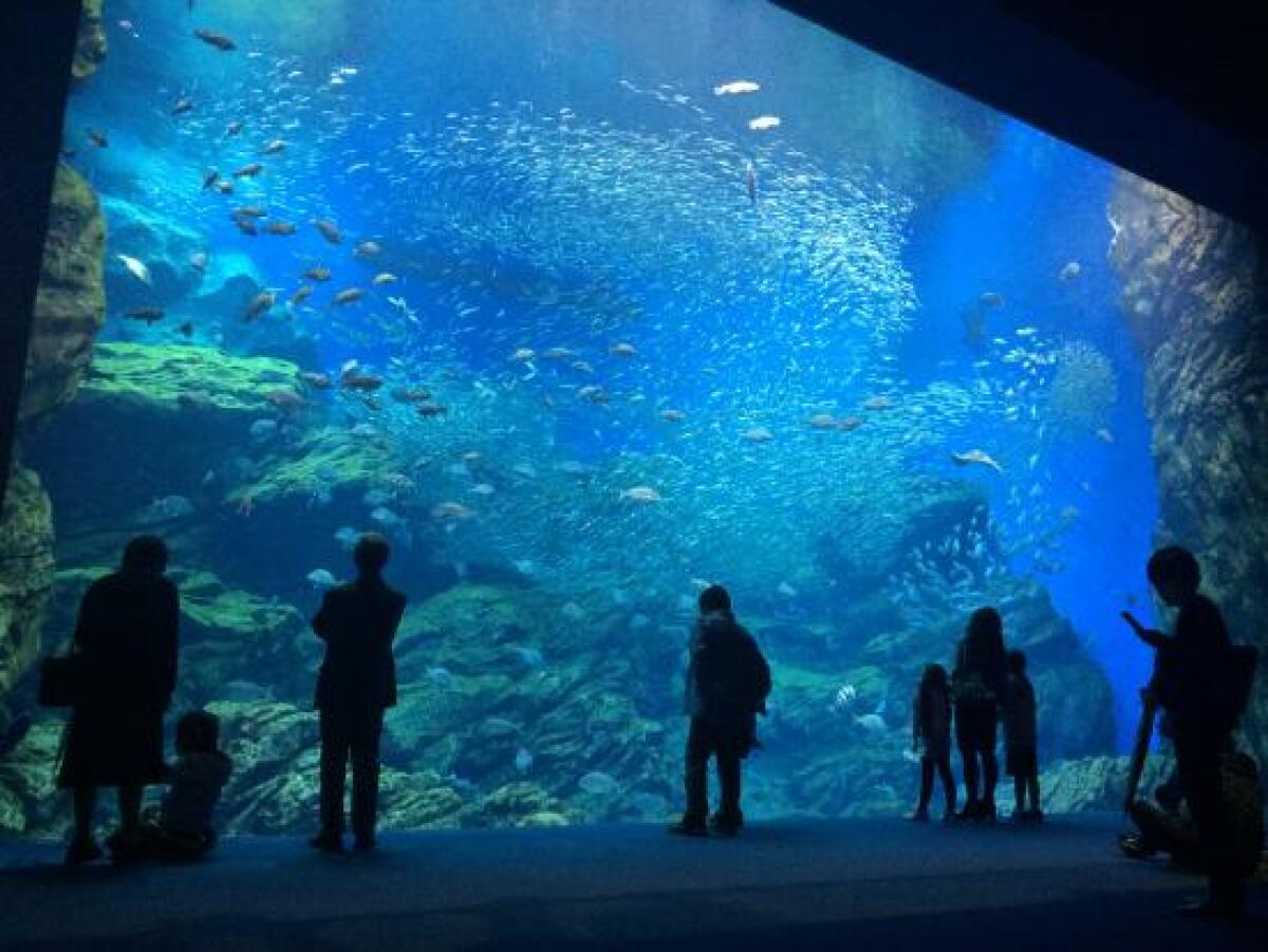 Sendai Uminomori Aquarium