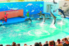 Sendai Uminomori Aquarium