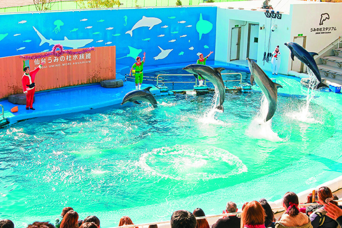 Sendai Uminomori Aquarium