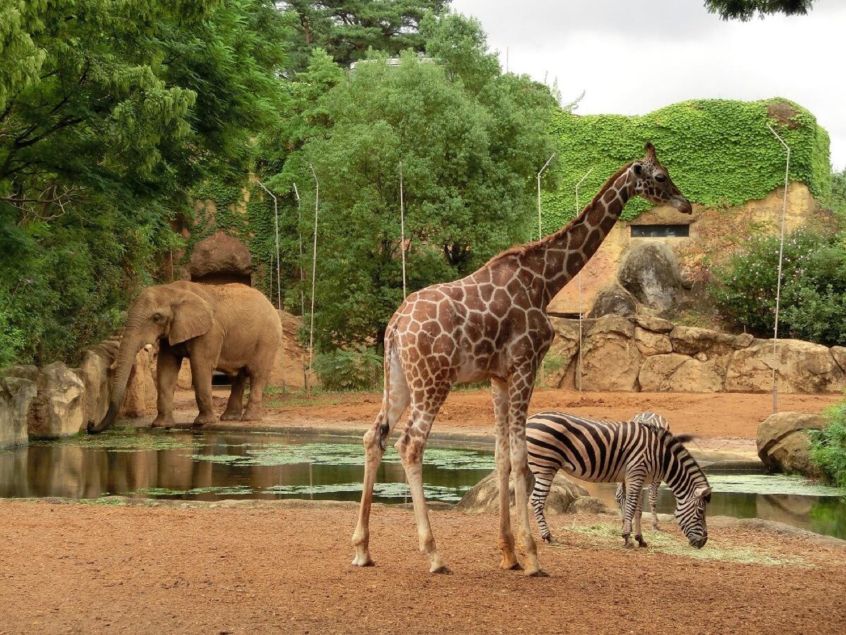 Sendai Yagiyama Zoo